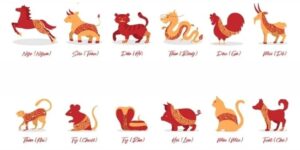 Giới thiệu tử vi hôm nay 8/6/2025 cho 12 con giáp